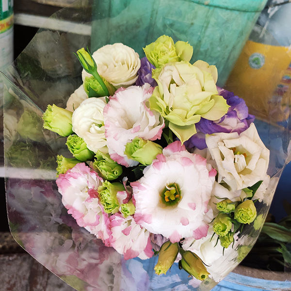 Hoa cát tường